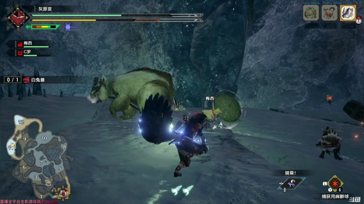 Liam：Ns【怪猎崛起】港版新档 P5