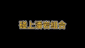 碰上潘岩组合