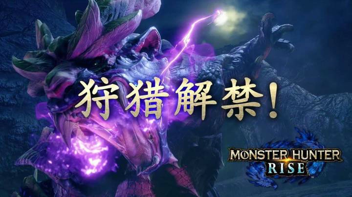 【简中/Nintendo】NS《怪物猎人:崛起》发售宣传片