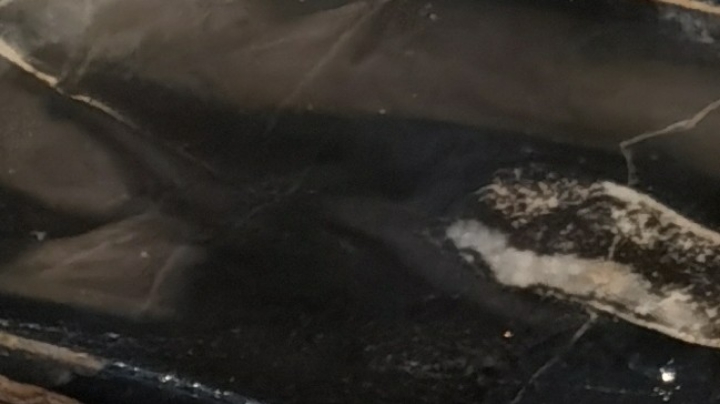 T总五杀直播间