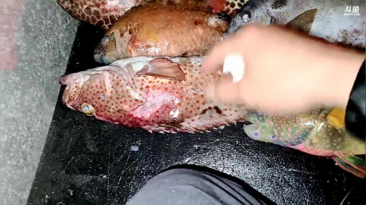 【2021-03-22 23点场】洪湖小肖：今天双倍亲密度，晚上海底