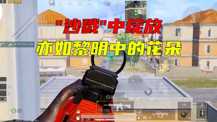 “杀戮”中绽放亦如黎明中的花朵