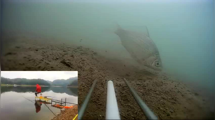 【2021-03-27 14点场】中华户外钓鱼：水库野钓直播中……-……