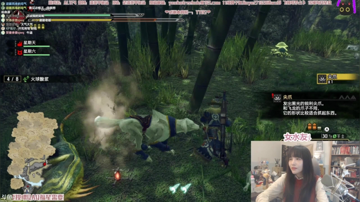 【2021-03-26 22点场】清蒸甲鱼汤：甲鱼：rise？rice！