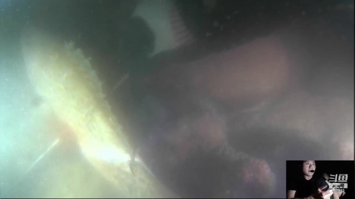 【2021-03-24 20点场】洪湖小肖：海南生活晚上海底