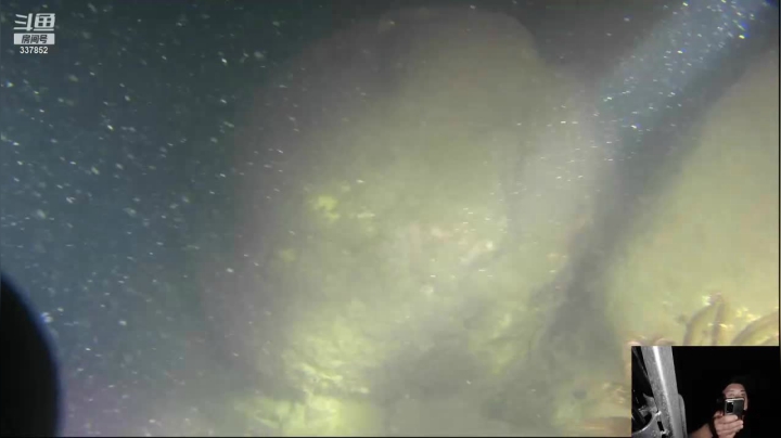 【2021-03-23 22点场】洪湖小肖：海南生活晚上海底