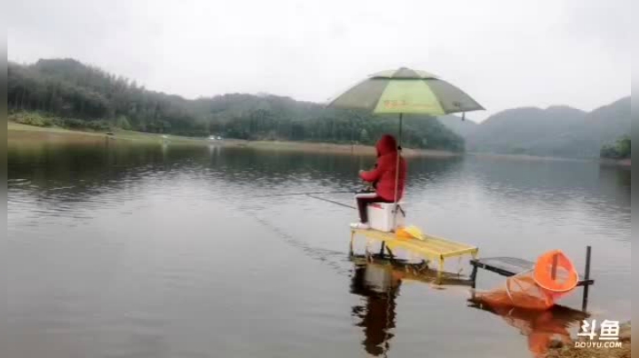【2021-03-27 12点场】中华户外钓鱼：水库野钓直播中……-……