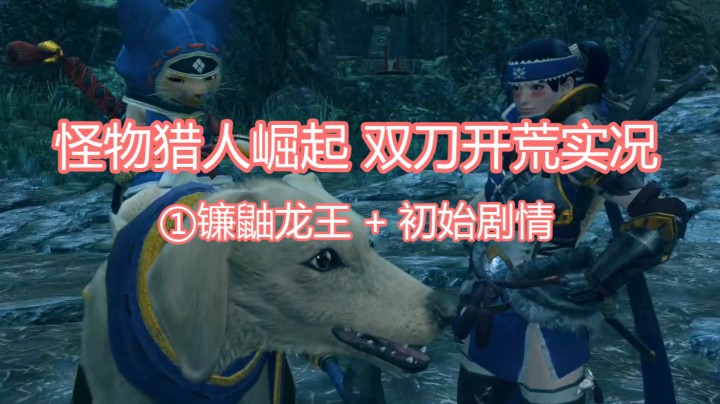 【怪物猎人：崛起】双刀开荒实况 01 镰鼬龙王+初始剧情 （持更）刮痧永动机