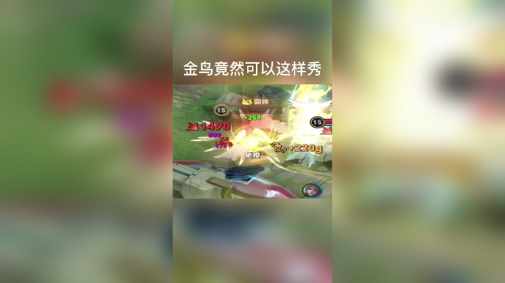 金鸟竟然可以这么秀