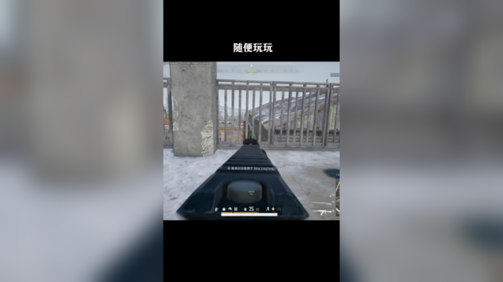 随便丸丸
