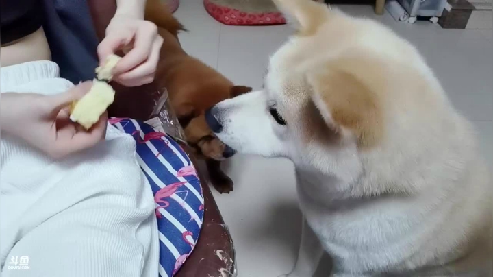【2021-03-28 17点场】晒网的慧儿呀：每天都是最美好的相遇