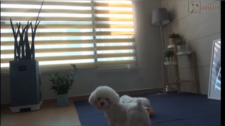 网红小姐姐  早上运动