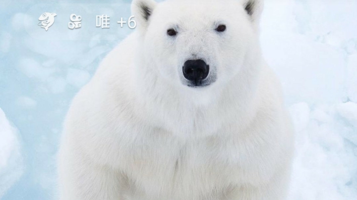 做菜视频