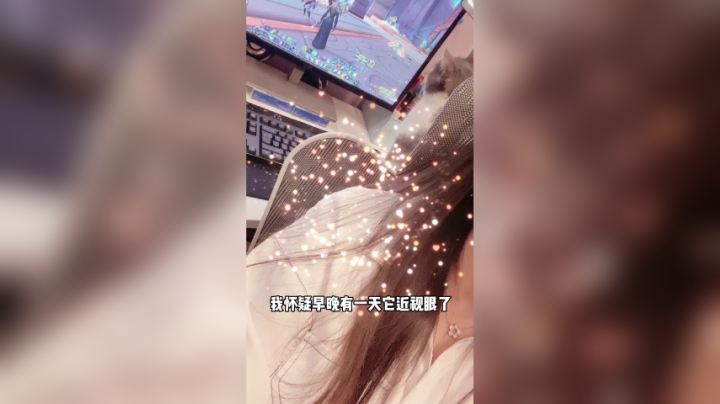 （冰铃）一个猫一个游戏。一个我