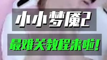 小小梦魇2：难到离谱儿！最难的这部分小小做出攻略分享给大家啦