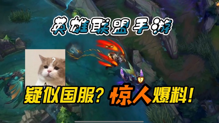 【LOL手游】这波操作，说是国服上线了没问题吧?!