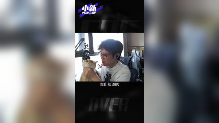 小猫咪挺会享受哦