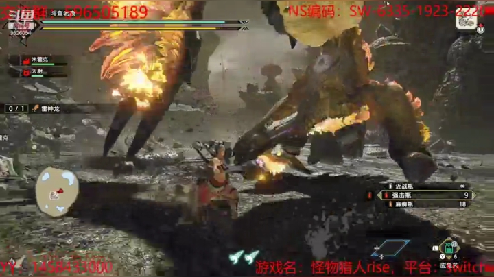 18-怪物猎人rise