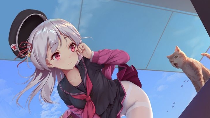 新号只玩dva第一天