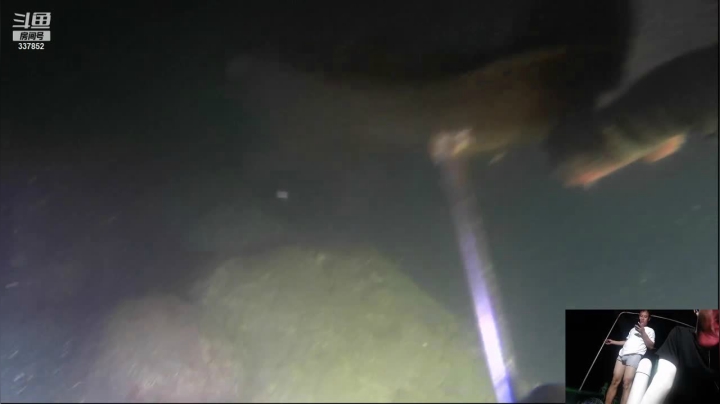 【2021-03-29 22点场】洪湖小肖：下水搞鱼进行中...