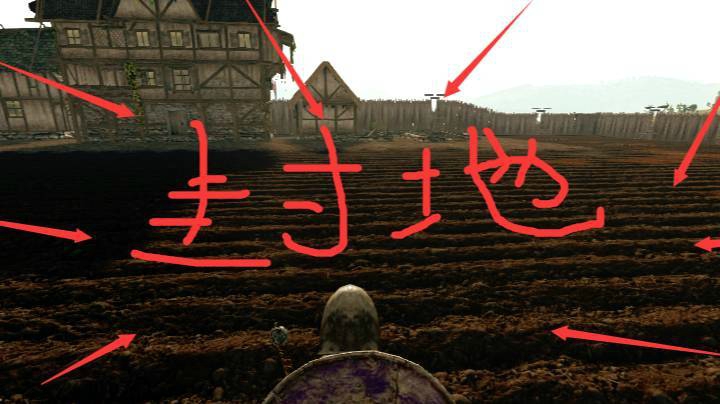 QQ视频20210331085045