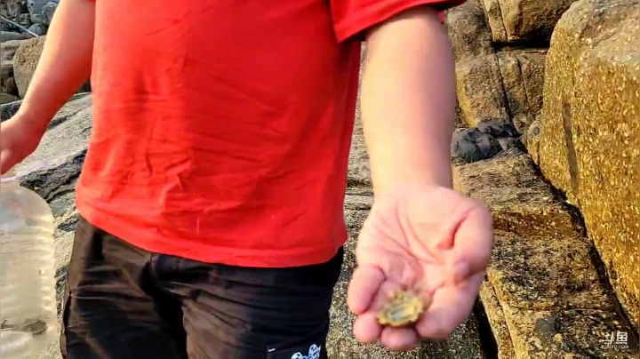 【2021-03-31 17点场】魅力生活i：海岛不带食物跟水24小时直播