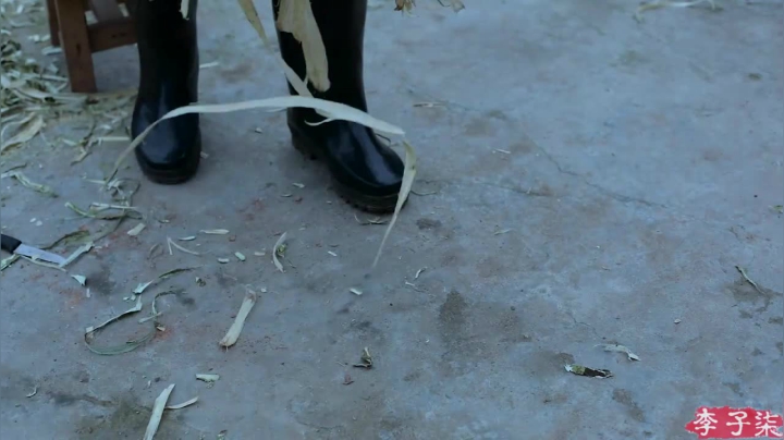 【美食】李子柒liziqi的精彩时刻 20210331 00点场