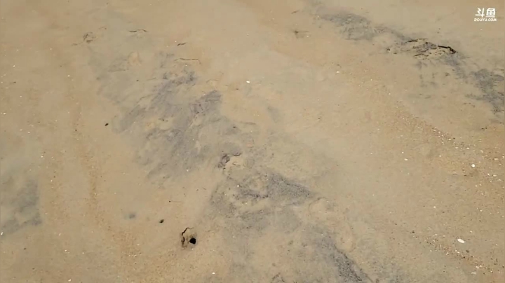 【2021-03-31 14点场】魅力生活i：海岛不带食物跟水24小时直播