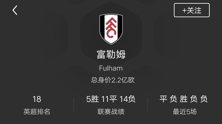 富勒姆第一赛季（2）