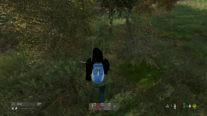 【2021-03-31 20点场】dayz韩爱东西：I am back!!!