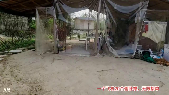 【2021-03-31 16点场】川味箩卜：春暖花开，风景如画。