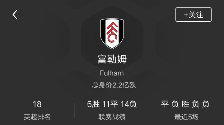 富勒姆第一赛季（3）