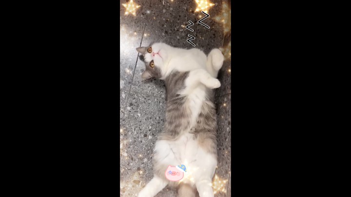 蓝宝：我困了。妈妈我要睡觉了