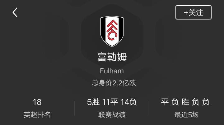富勒姆第一赛季（2）