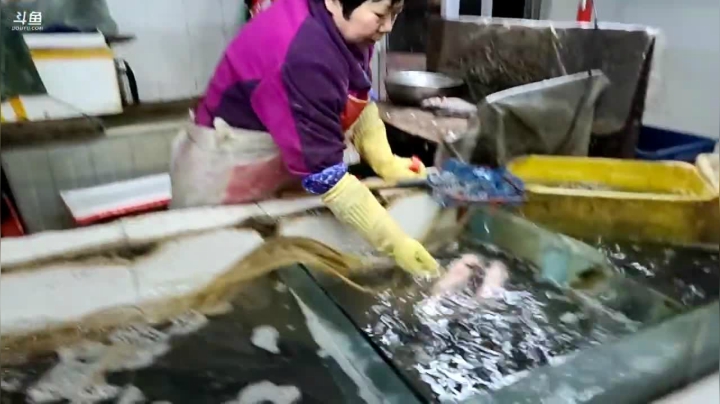 【2021-03-31 15点场】叶子户外：《纪实直播》新疆之旅→兰州生日快乐