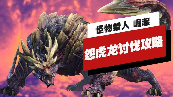 《怪猎猎人 崛起》怨虎龙讨伐攻略