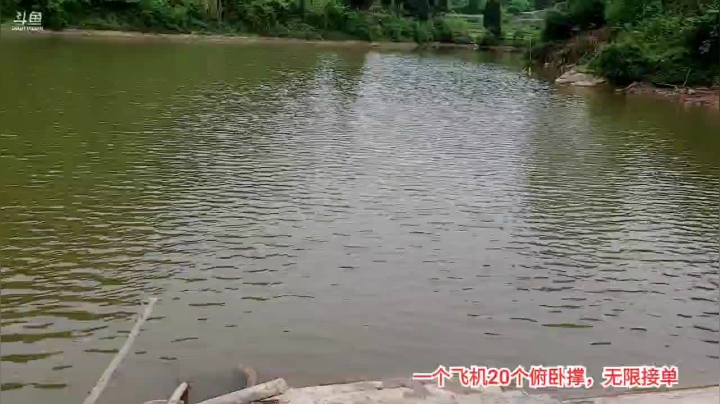 【2021-03-31 17点场】川味箩卜：春暖花开，风景如画。