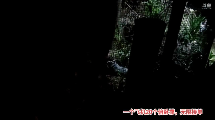 【2021-03-31 19点场】川味箩卜：荒野厨神之蒜香猪大骨！！