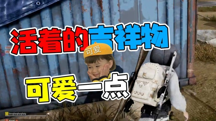 水友路人四排（上）：活着的吉祥物可爱一点