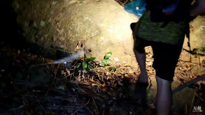 【2021-03-31 21点场】魅力生活i：海岛不带食物跟水24小时直播