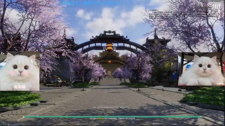 【2021-03-31 15点场】小岚点心：奶花竞技场视角