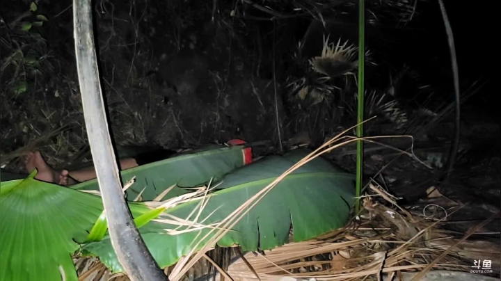 【2021-04-01 03点场】魅力生活i：海岛不带食物跟水24小时直播