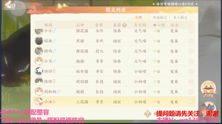 【2021-03-31 19点场】椒陵丶老王：忘川最强搭配师
