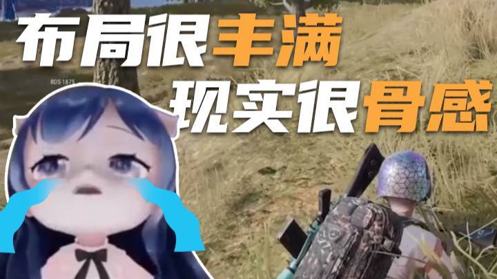 【一条小团团】布局很丰满，现实很骨感