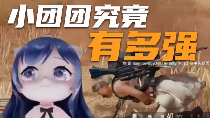 【一条小团团】小团团究竟有多强