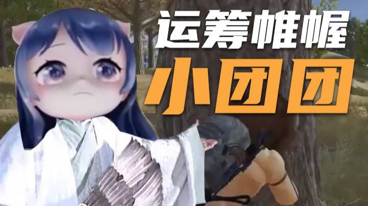 【一条小团团】运筹帷幄——小团团