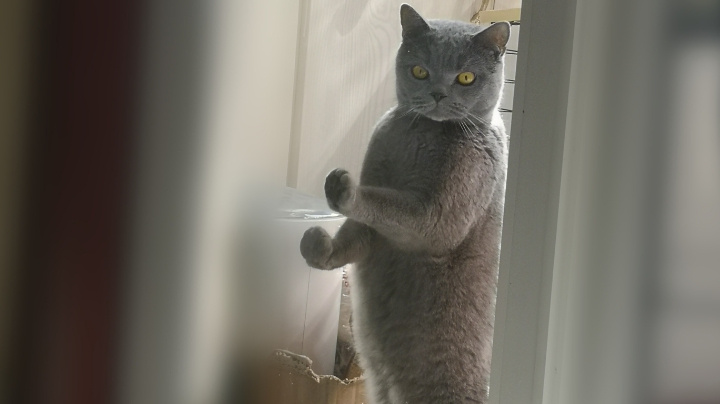 被逼绝境，极限发挥