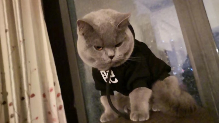 被逼绝境，极限炒作