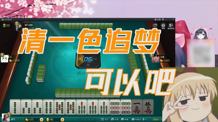 小团团：千万别碰啊，清一色追梦别拦我