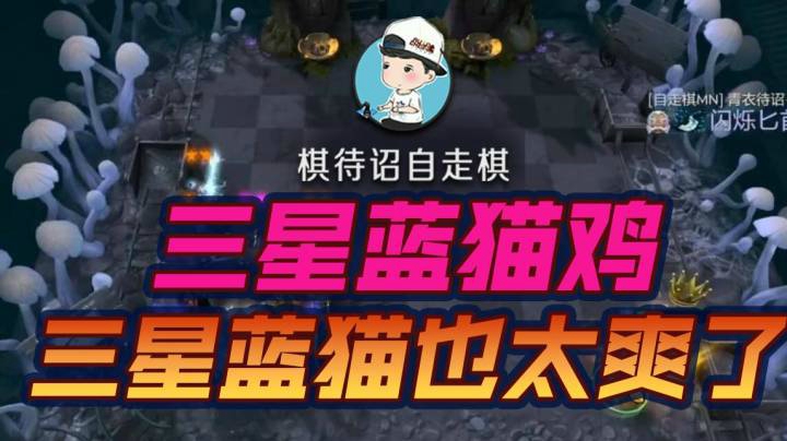 三星蓝猫鸡
